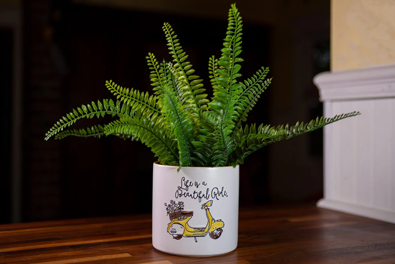 Scooter Love Flower Pot 5"
